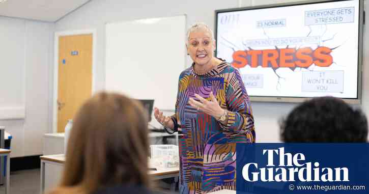 ‘It all hinges on wellbeing’: UK school nurses’ crucial, underfunded role