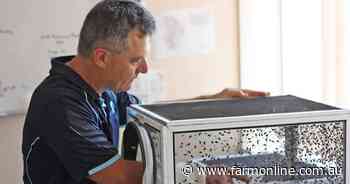 Wool industry to press on with flystrike vaccine 'dream'