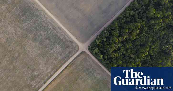 Grain trader Cargill faces legal challenge in US over Brazilian soya supply chain