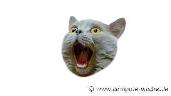 Alltime-Fails: Die 7 schlechtesten IT-Produkte