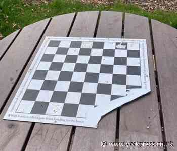 'Thoughtless behaviour' as chess bench damaged in Rowntree Park, York