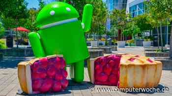 Motorola fürs Business?: Warum das ThinkPhone nicht zu empfehlen ist