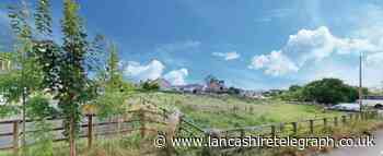 Three-storey five-bedroom home plan for grassland in Nelson