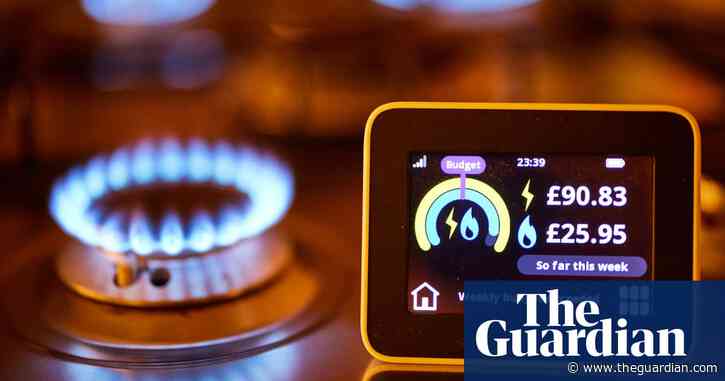 UK energy suppliers to set up dedicated phone lines for vulnerable households