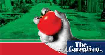 From the archive: Are your tinned tomatoes picked by slave labour? – podcast