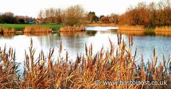 Emergency crews descended on lake after unexploded 'bomb' found by fisherman