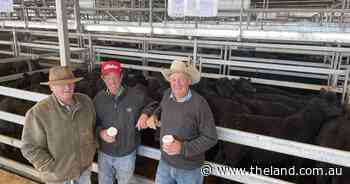 Mental health awareness highlighted at Wodonga store sale