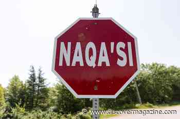 Your Native Language May Wire the Brain in Unique Ways