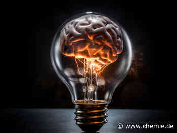 Idea Slam – die Bühne für den Startup-Nachwuchs