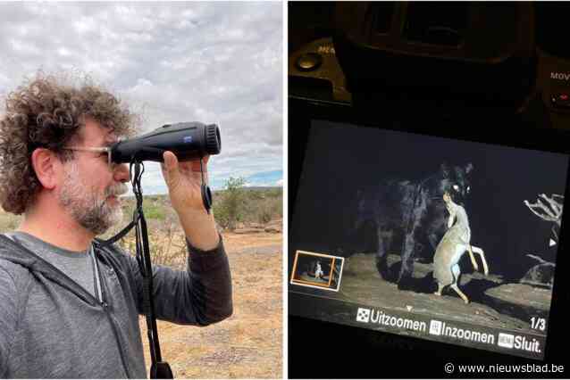 Jeroen (48) slaagt erin om ‘spook van Afrika’ op foto te zetten: “Héél uitzonderlijk dat zo’n dier in het wild overleeft”
