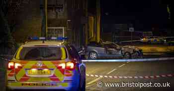 West Country mum may never fully recover from horror crash caused by 'wild and lawless animal'