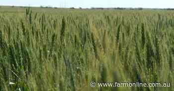 Price tweak helps sell farm land at the top of the Eyre Peninsula