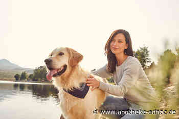 Dank Calmvalera ausgeglichener durch die Wechseljahre
