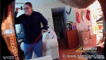 Woman Arrested After Brutal Beating of Dog With Rubber Mallet Inside Tampa Home