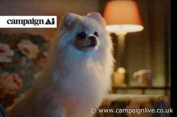 North America new-biz spotlight: US billings soar as Samsung and Boehringer Ingelheim change hands