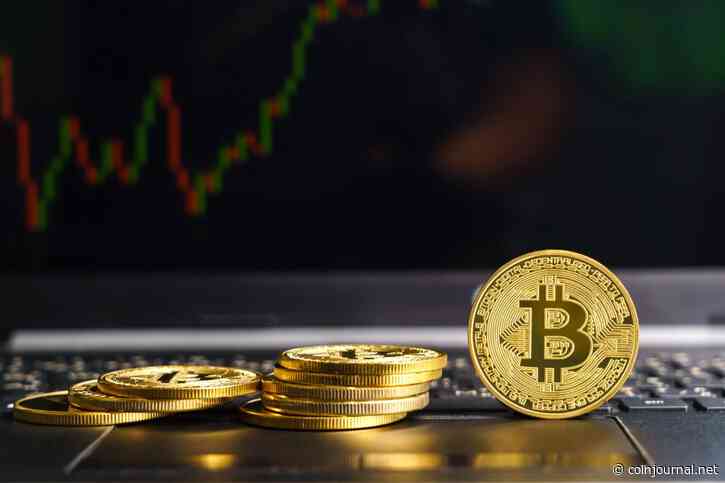 Michael Saylor on bitcoin: ‘hold on to it and stomach the volatility’