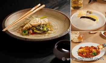 Scientists reveal the first ever lab-grown fish fillet - and say it tastes like the real deal 