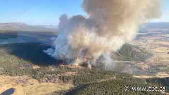 Early start to B.C. fire season may not mean a summer of flames, expert says