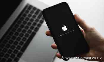 Update your iPhone NOW: Apple issues a new iOS rapid security update