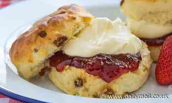 The great British scone debate is SOLVED: ChatGPT reveals whether you should put jam or cream first