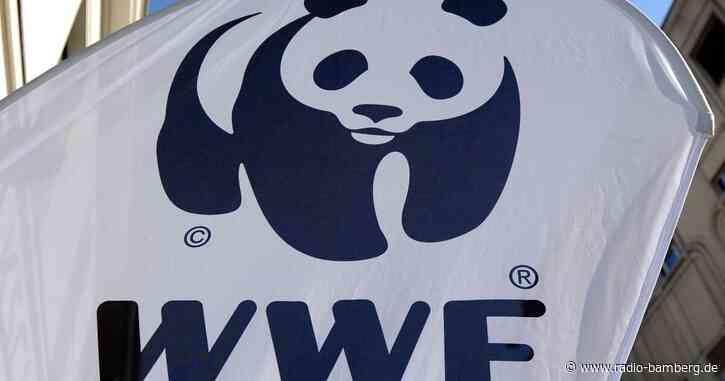 WWF: Hohe Verluste durch illegale Fischerei