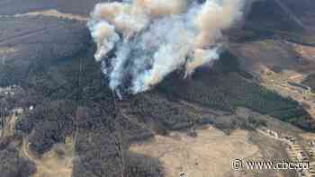 Province acknowledges 'some delays' with texts sent through Alberta's emergency alert system