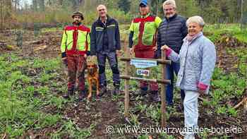 Baumpflanzung  in Althengstett: Senioren denken an nächste Generation