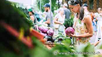 Konsumentinnen als Transformationshebel