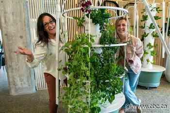 Meet the three women bringing Tower-to-Table produce to Thunder Bay's northcore and beyond