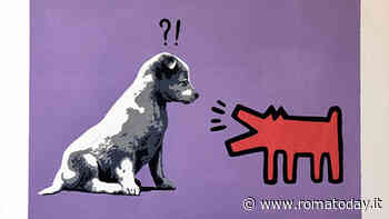 Oltre il cancello, la mostra fotografica