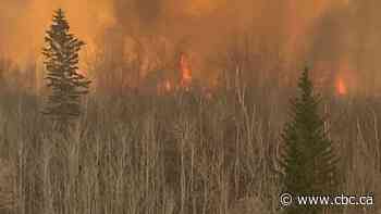 Multiple wildfires in western Saskatchewan posing threats to First Nations