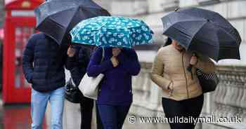 Bookmaker says May could be 'wettest on record' as odds slashed