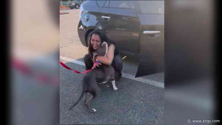 Lost dog found over 400 miles from Florida home returns 2 years later