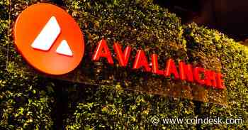 Alibaba Cloud Builds Metaverse Launchpad on Avalanche