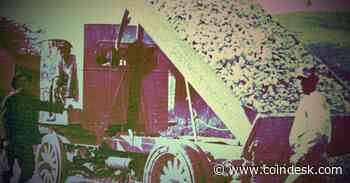 ‘WallStreetBets’ Themed Tokens Plummet 90% as Insider Dumps Treasury Holdings