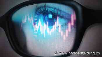 Gemischte Portfolios hinterfragen