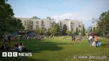 Bristol Zoo: Bristol planning chair defends homes vote