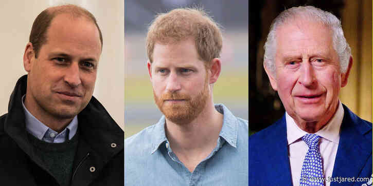 Does Prince Harry Speak to Prince William & King Charles? New Update Revealed Days Before Coronation