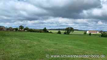 Wirtschaft in Neubulach: Stadt bevorzugt eine lockere Bebauung