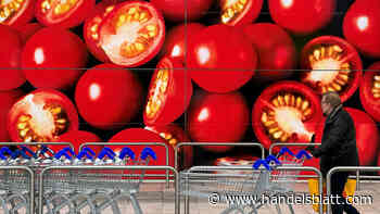 Geldpolitik der EZB: Die hartnäckige Inflation – Fünf Gründe, warum der Kampf gegen die Teuerung so lange dauert