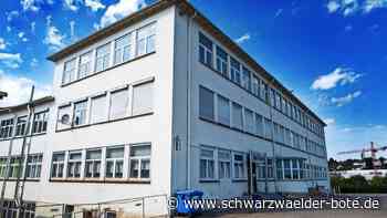 Bauknecht-Areal in Calw: 190 Wohnungen sollen dort entstehen