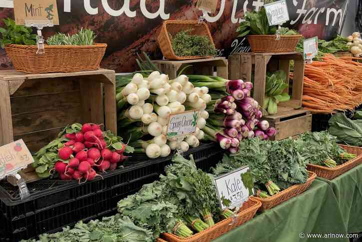 Summer starts Sunday for seasoned suburban farmers markets