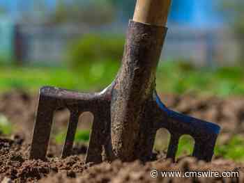 Is Your Brand Really Rolling out Thought Leadership?