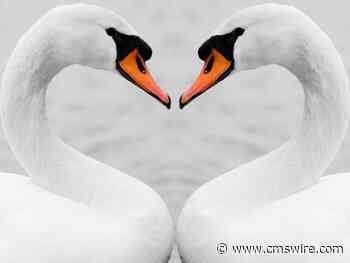 Loyalty Marketing 3.0: 8 Transformative Ideas Defining NextGen Loyalty Programs