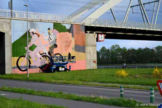 Graffiti bij Hasseltse fietsbrug vraagt aandacht voor veiligheid van fietsers