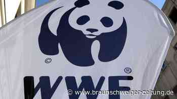 WWF: Hohe Verluste durch illegale Fischerei