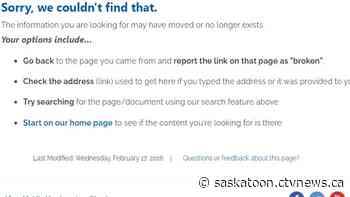 Sask. health minister touts online reporting of hospital wait times but shares wrong link