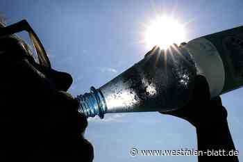 Stadtwerke Löhne, Brohler Mineralbrunnen und Kreis Herford vor Gericht