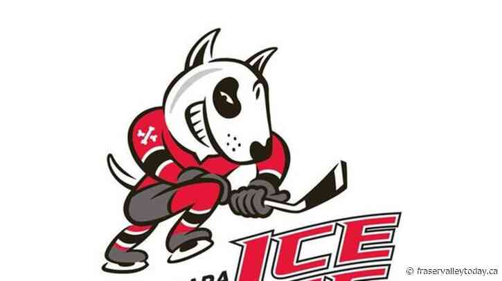 Icedogs players kicked out, GM handed two-year suspension for violating OHL policies