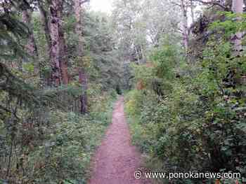 Annual Spring Walk coming up at the J.J. Collett Natural Area